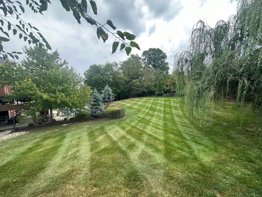 Prime Cut Lawn & Landscaping: Landscaper in Kentucky, Burlington, Florence